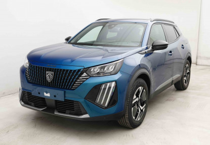 PEUGEOT_PEUGEOT_2008_2653335_25.jpg
