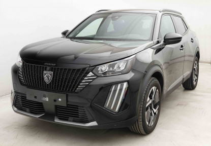 PEUGEOT_PEUGEOT_2008_2653456_25.jpg