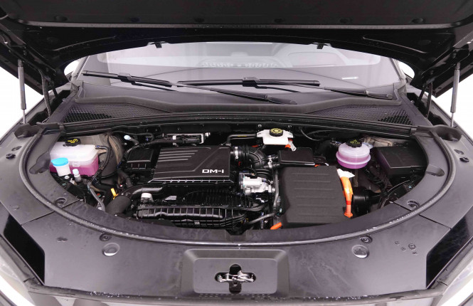 BYD_BYD_SEAL U_2551828_31.jpg