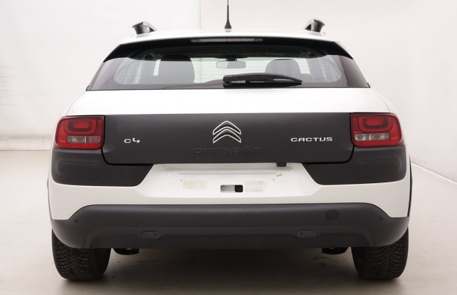 CITROEN_CITROEN_C4CACTUS_2237160_28.jpg