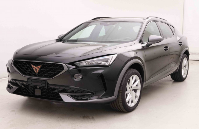 CUPRA_CUPRA_FORMENTOR_2550898_25.jpg CUPRA_CUPRA_FORMENTOR_2550898_25.jpg