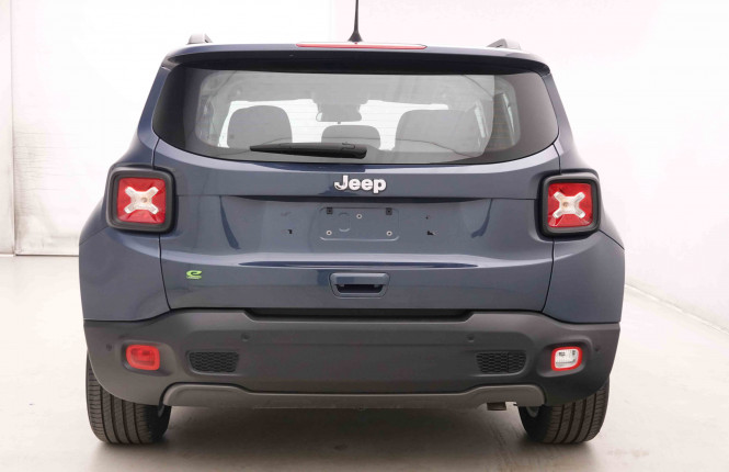 JEEP_JEEP_RENEGADE_2551126_25.jpg