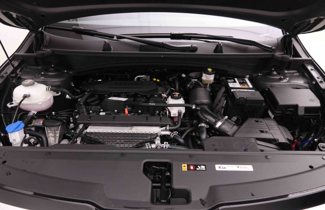 KIA_KIA_SPORTAGE_2549742_25.jpg