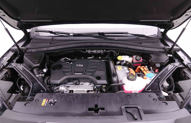MG_MG_EHS_2445890_25.jpg