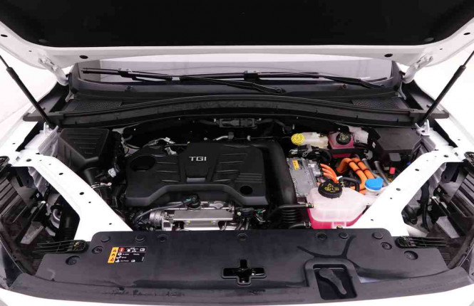 MG_MG_EHS_2550303_24.jpg