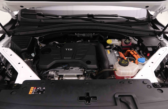 MG_MG_EHS_2550303_48.jpg