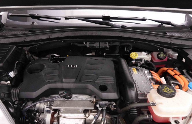 MG_MG_EHS_2651992_25.jpg MG_MG_EHS_2651992_25.jpg