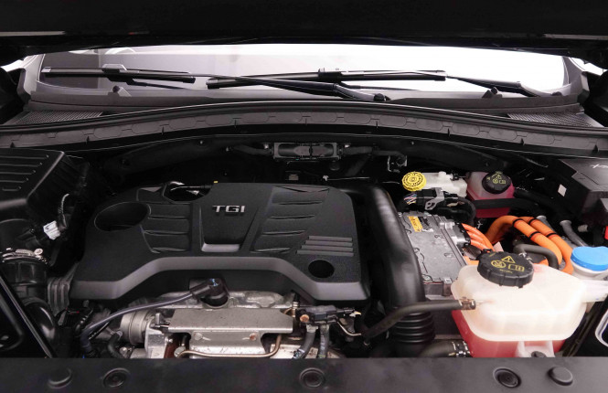 MG_MG_EHS_2651993_25.jpg MG_MG_EHS_2651993_25.jpg