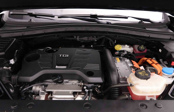 MG_MG_EHS_2652000_25.jpg