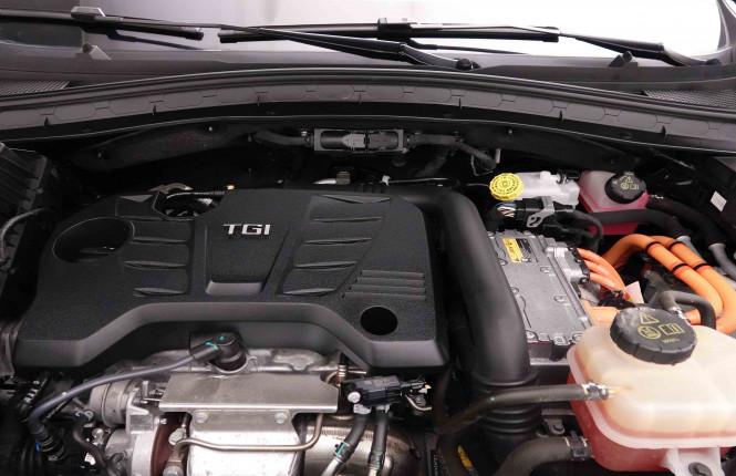 MG_MG_EHS_2652001_24.jpg MG_MG_EHS_2652001_24.jpg