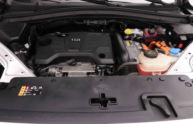 MG_MG_EHS_2652002_19.jpg MG_MG_EHS_2652002_19.jpg