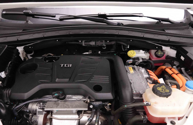 MG_MG_EHS_2652011_25.jpg MG_MG_EHS_2652011_25.jpg