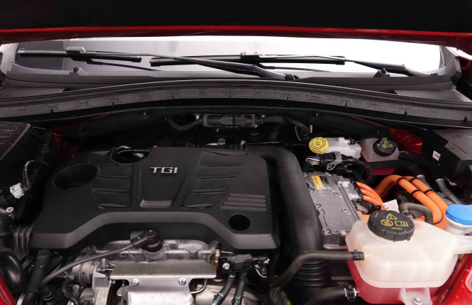 MG_MG_EHS_2652012_24.jpg MG_MG_EHS_2652012_24.jpg