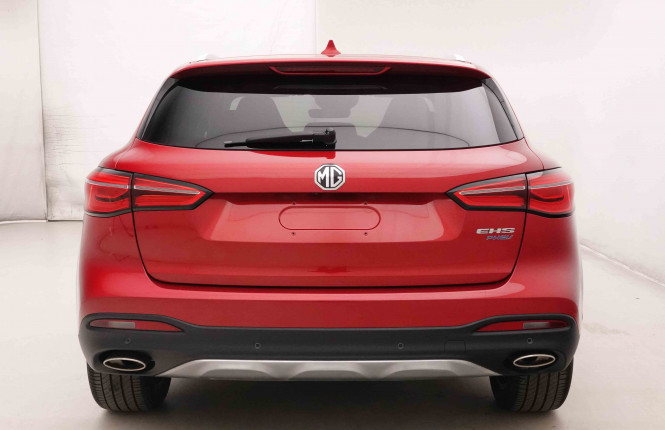 MG_MG_EHS_2652012_30.jpg MG_MG_EHS_2652012_30.jpg