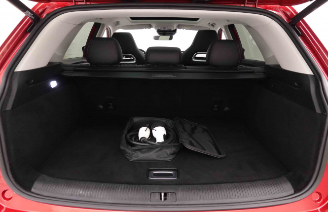 MG_MG_EHS_2652012_5.jpg MG_MG_EHS_2652012_5.jpg