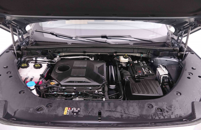MG_MG_HS_2548791_55.jpg