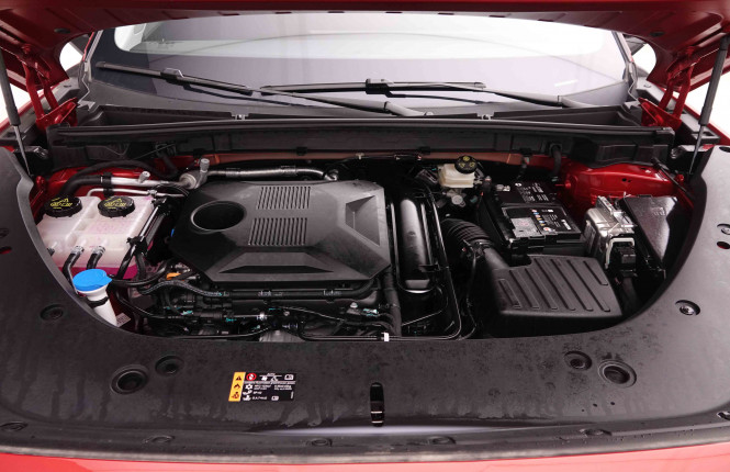 MG_MG_HS_2549233_22.jpg