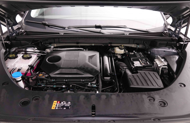 MG_MG_HS_2549244_22.jpg MG_MG_HS_2549244_22.jpg