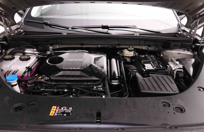 MG_MG_HS_2549267_23.jpg