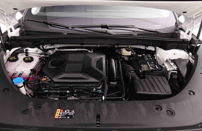 MG_MG_HS_2549270_22.jpg