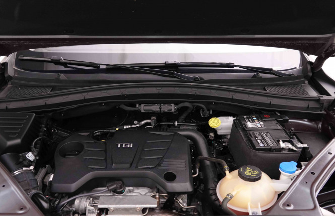 MG_MG_HS_2652735_25.jpg