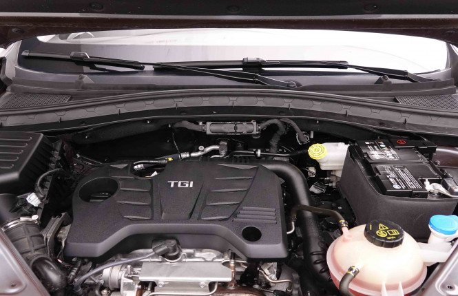 MG_MG_HS_2652931_22.jpg