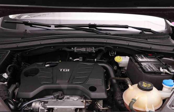 MG_MG_HS_2653155_24.jpg MG_MG_HS_2653155_24.jpg