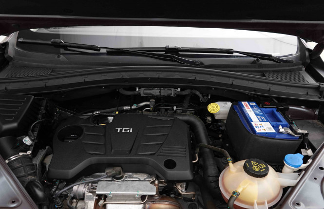 MG_MG_HS_2653362_22.jpg