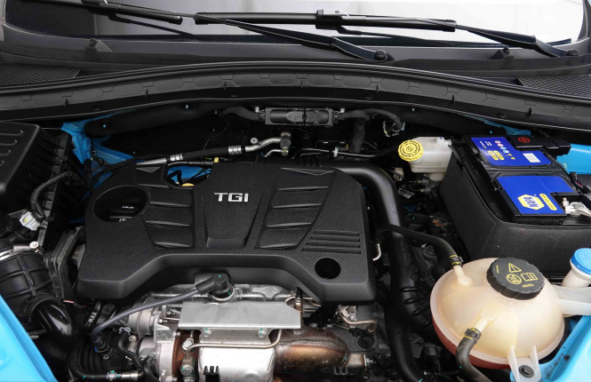 MG_MG_HS_2653366_22.jpg