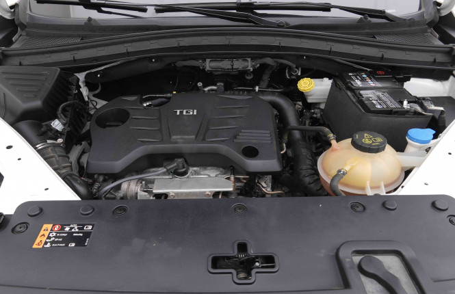 MG_MG_HS_2653370_20.jpg