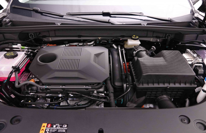 MG_MG_HS_2654737_49.jpg MG_MG_HS_2654737_49.jpg