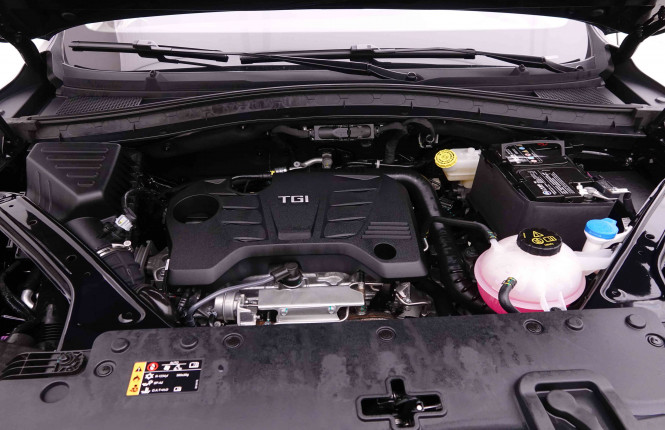 MG_MG_HS_2654876_22.jpg