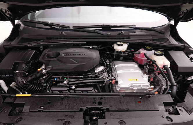 MG_MG_MG3_2549204_23.jpg