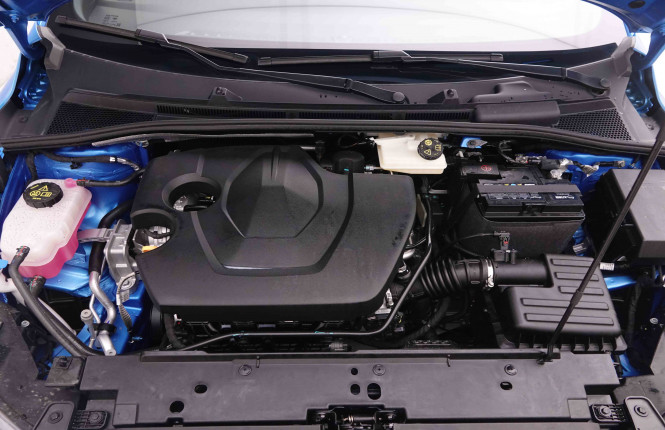 MG_MG_MG3_2549978_23.jpg