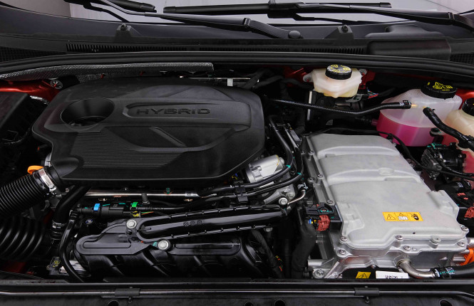 MG_MG_MG3_2655484_18.jpg MG_MG_MG3_2655484_18.jpg