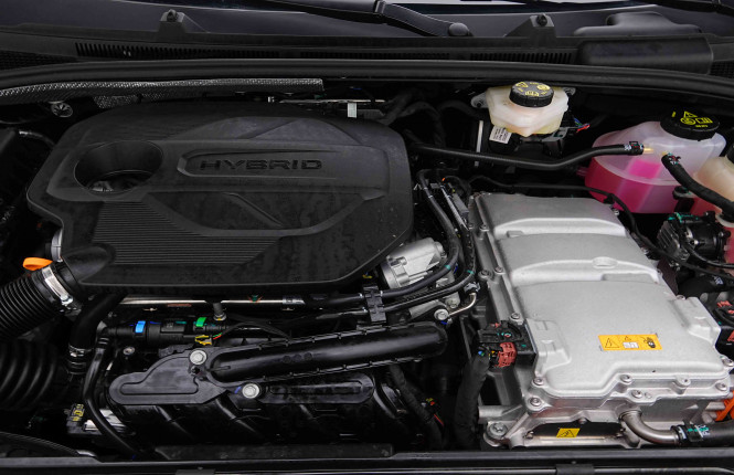MG_MG_MG3_2655488_18.jpg