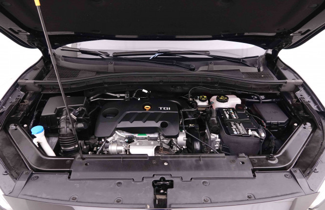 MG_MG_ZS_2548664_21.jpg