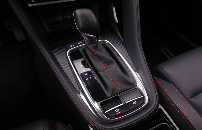 MG_MG_ZS_2548665_13.jpg