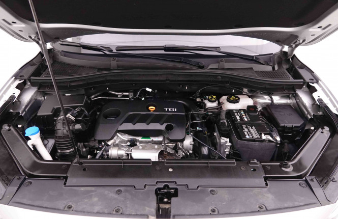 MG_MG_ZS_2548665_22.jpg