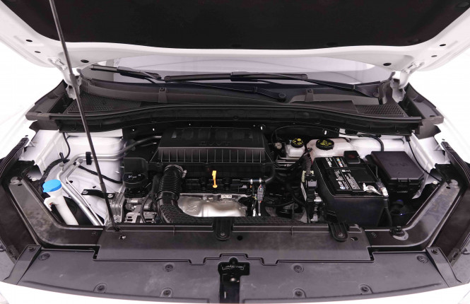 MG_MG_ZS_2548885_20.jpg