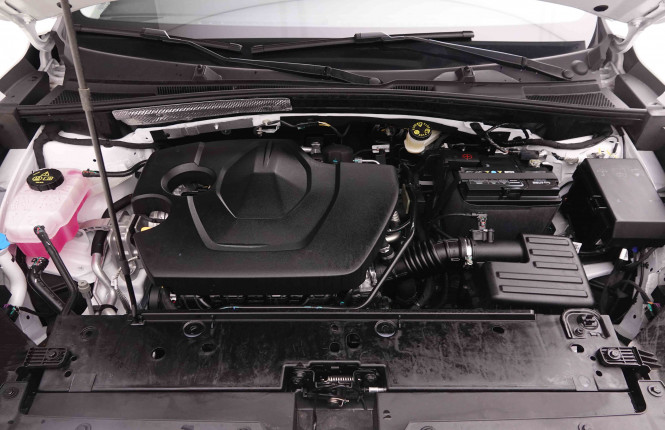 MG_MG_ZS_2549824_21.jpg