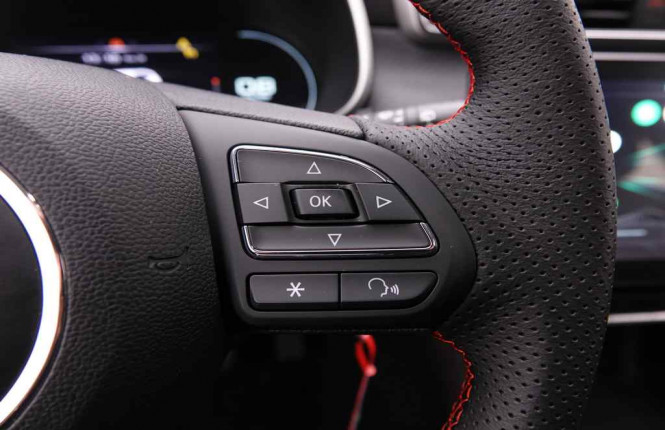 MG_MG_ZS_2549874_18.jpg