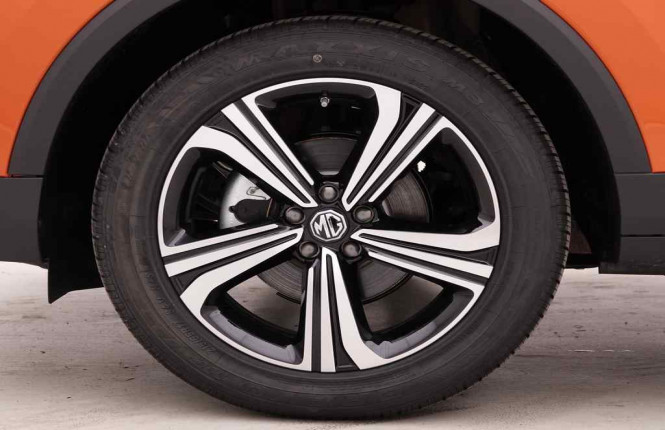 MG_MG_ZS_2549874_20.jpg