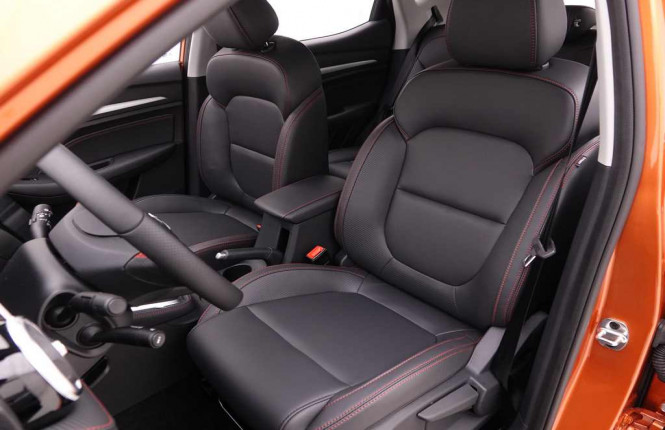 MG_MG_ZS_2549874_6.jpg