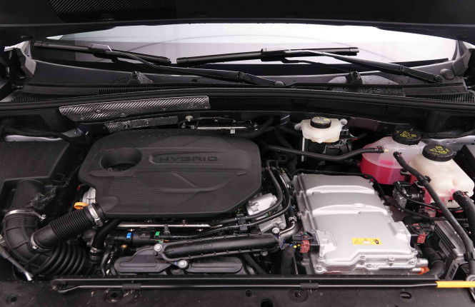 MG_MG_ZS_2652160_80.jpg MG_MG_ZS_2652160_80.jpg