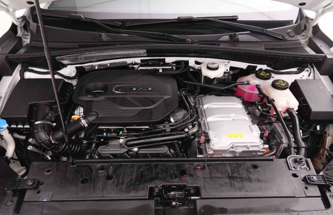 MG_MG_ZS_2652179_23.jpg