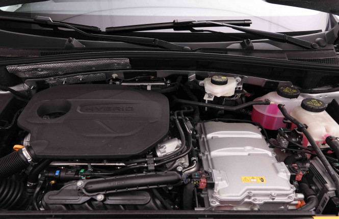 MG_MG_ZS_2652205_21.jpg MG_MG_ZS_2652205_21.jpg