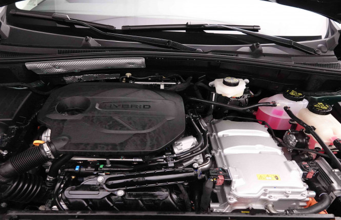 MG_MG_ZS_2652214_22.jpg MG_MG_ZS_2652214_22.jpg