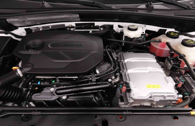 MG_MG_ZS_2652512_72.jpg MG_MG_ZS_2652512_72.jpg