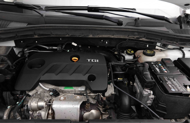 MG_MG_ZS_2652665_20.jpg